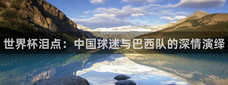 美国世界杯：世界杯泪点：中国球迷与巴西队的深情演绎