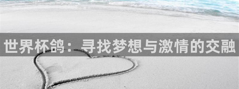 世界杯比赛时间：世界杯鸽：寻找梦想与激情的交融