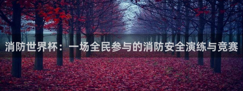 2026年世界杯时间表：消防世界杯：一场全民参与的消防安全演练与竞赛