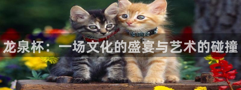 2026足球世界杯赛程：龙泉杯：一场文化的盛宴与艺术的碰撞
