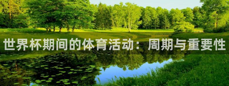 世界杯欧洲预选赛：世界杯期间的体育活动：周期与重要性