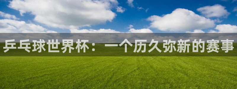 世界杯足球赛2026：乒乓球世界杯：一个历久弥新的赛事