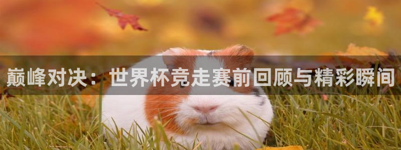 2006年世界杯冠军：巅峰对决：世界杯竞走赛前回顾与精彩瞬间