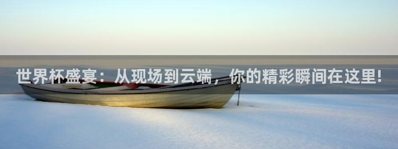 2026 世界杯：世界杯盛宴：从现场到云端，你的精彩瞬间在这里!