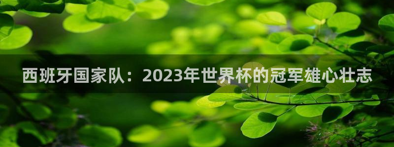 世界杯2026赛程表：西班牙国家队：2023年世界杯的冠军雄心壮志