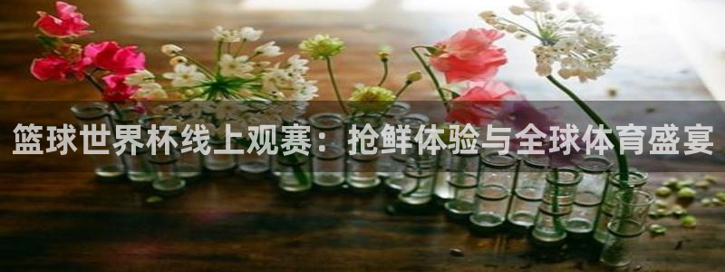 世界杯足球：篮球世界杯线上观赛：抢鲜体验与全球体育盛宴