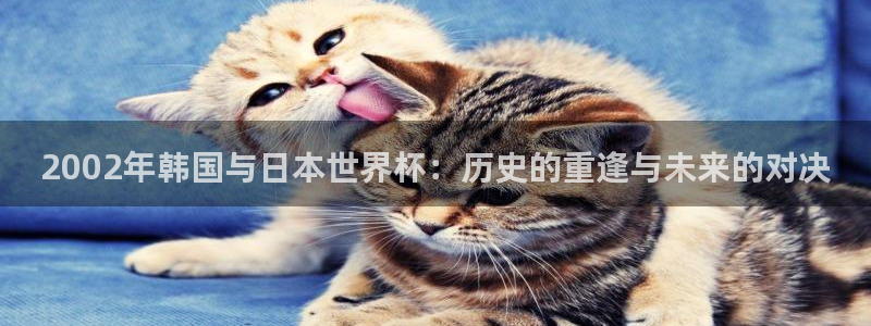 世界杯官网：2002年韩国与日本世界杯：历史的重逢与未来的对决