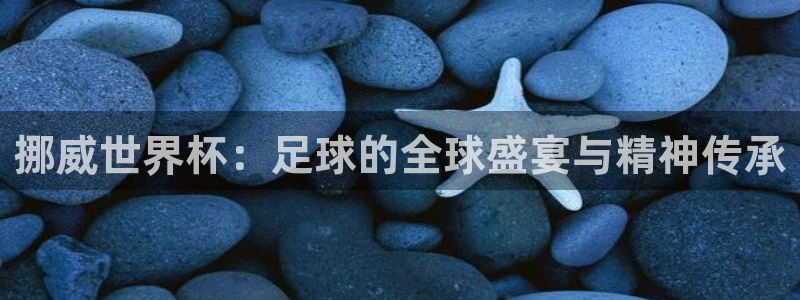 女足世界杯赛程：挪威世界杯：足球的全球盛宴与精神传承
