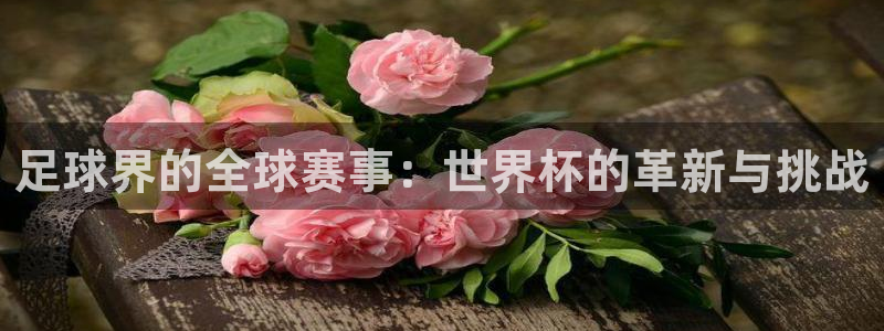 足球世预赛：足球界的全球赛事：世界杯的革新与挑战